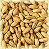 Chateau Diastatic - Castle Malting Malz
