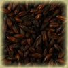 Chateau Black 1500 EBC - Castle Malting Malz