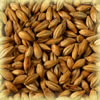 Chateau Arome 100 EBC - Castle Malting Malz