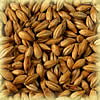 Chateau Arome 100 EBC - Castle Malting Malz