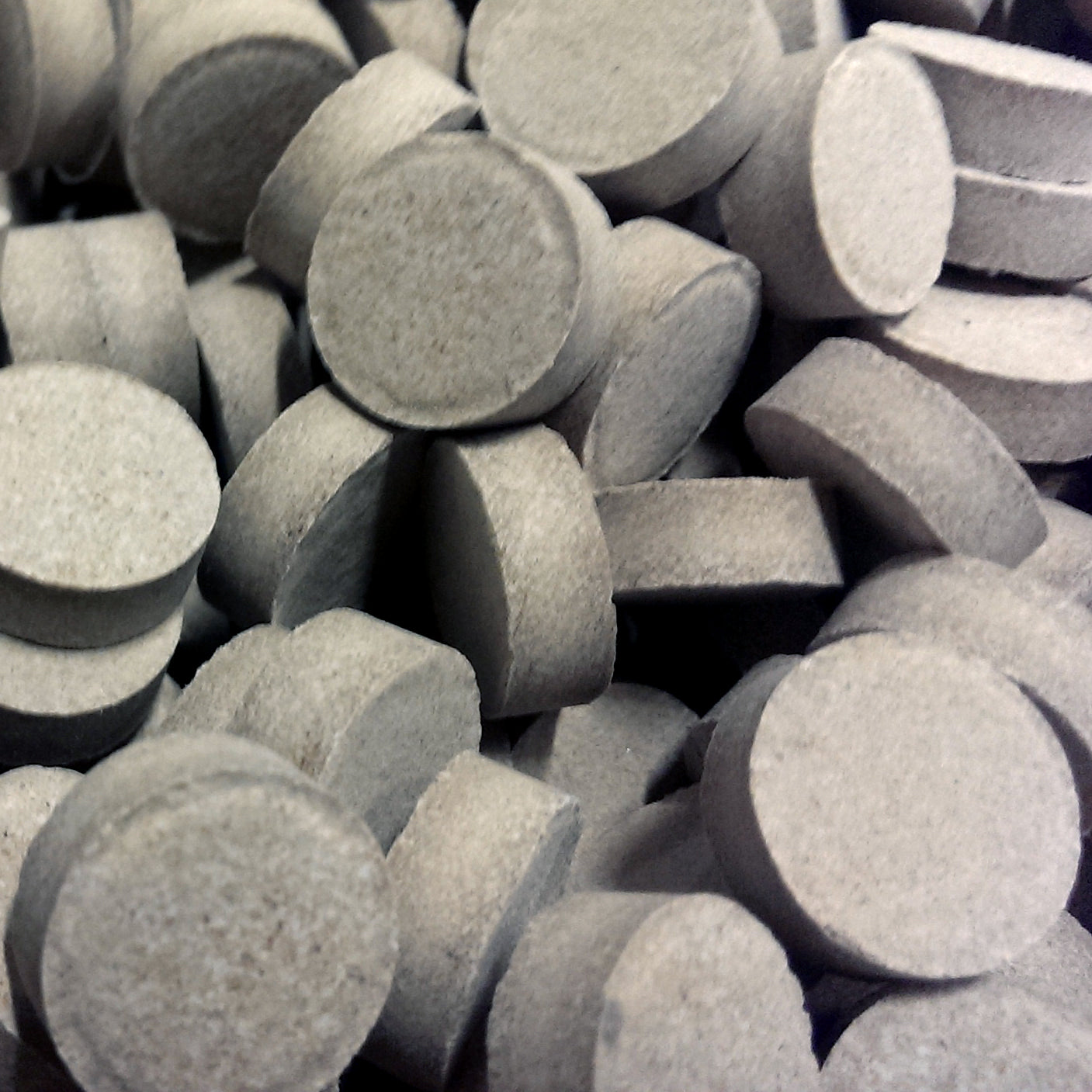 Protaflock Tabletten 10 Stk.