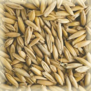 Castle Malting Havremalt 2,3 EBC 1kg