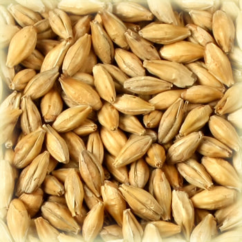 Chateau Whisky 2.5 - 4.5 - Castle Malting Malt 1 kg