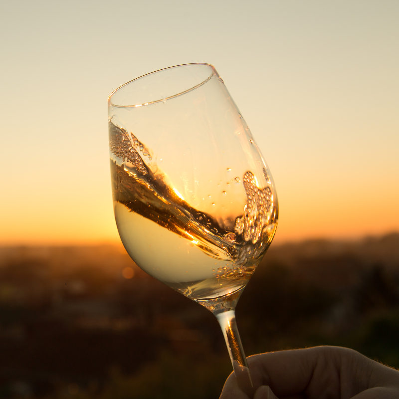 Gör din egen Chardonnay hemma – Bryggbolaget