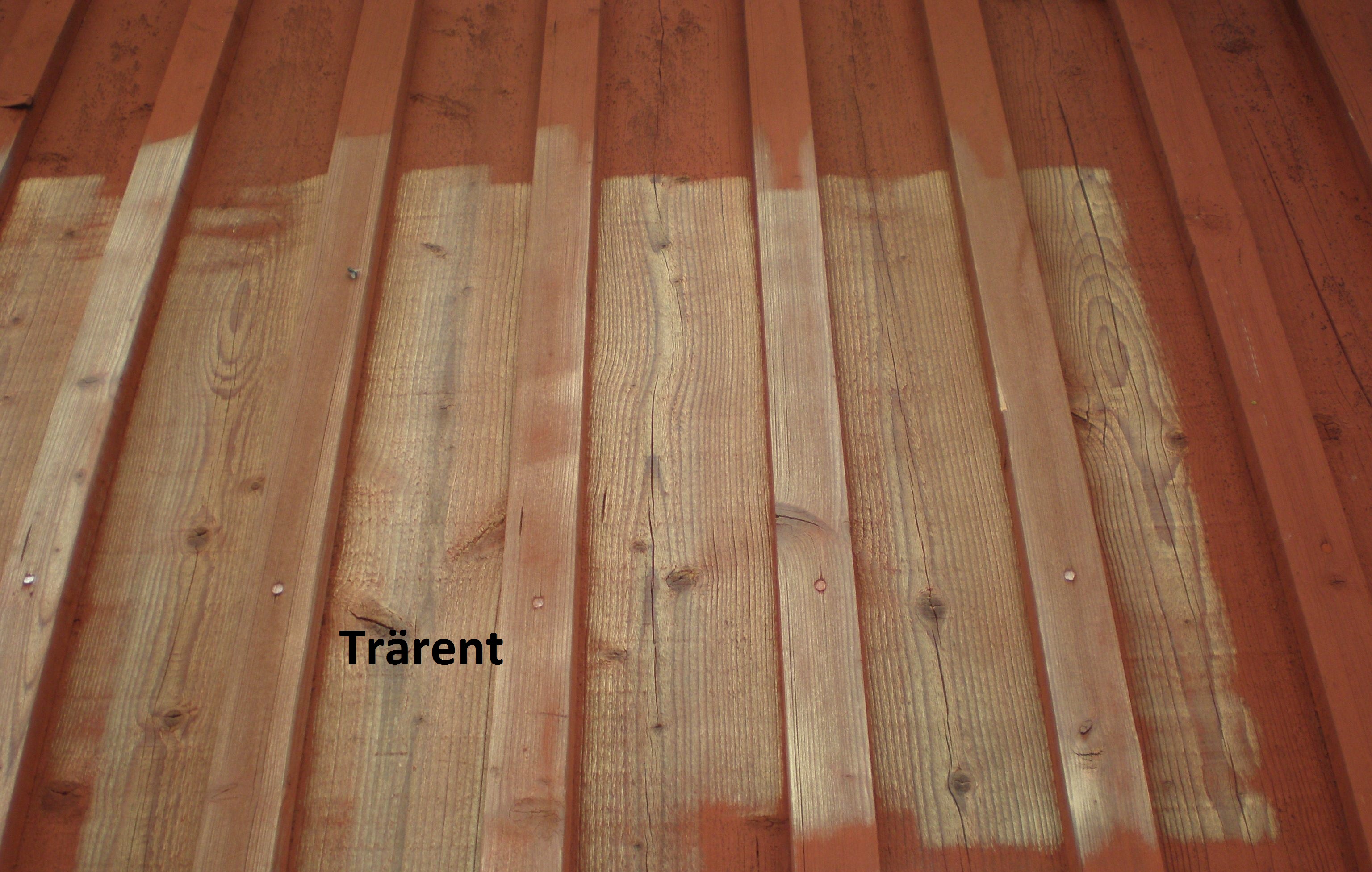 Trelent  