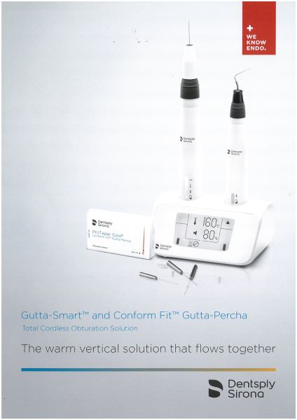The warm vertical solution that flows together