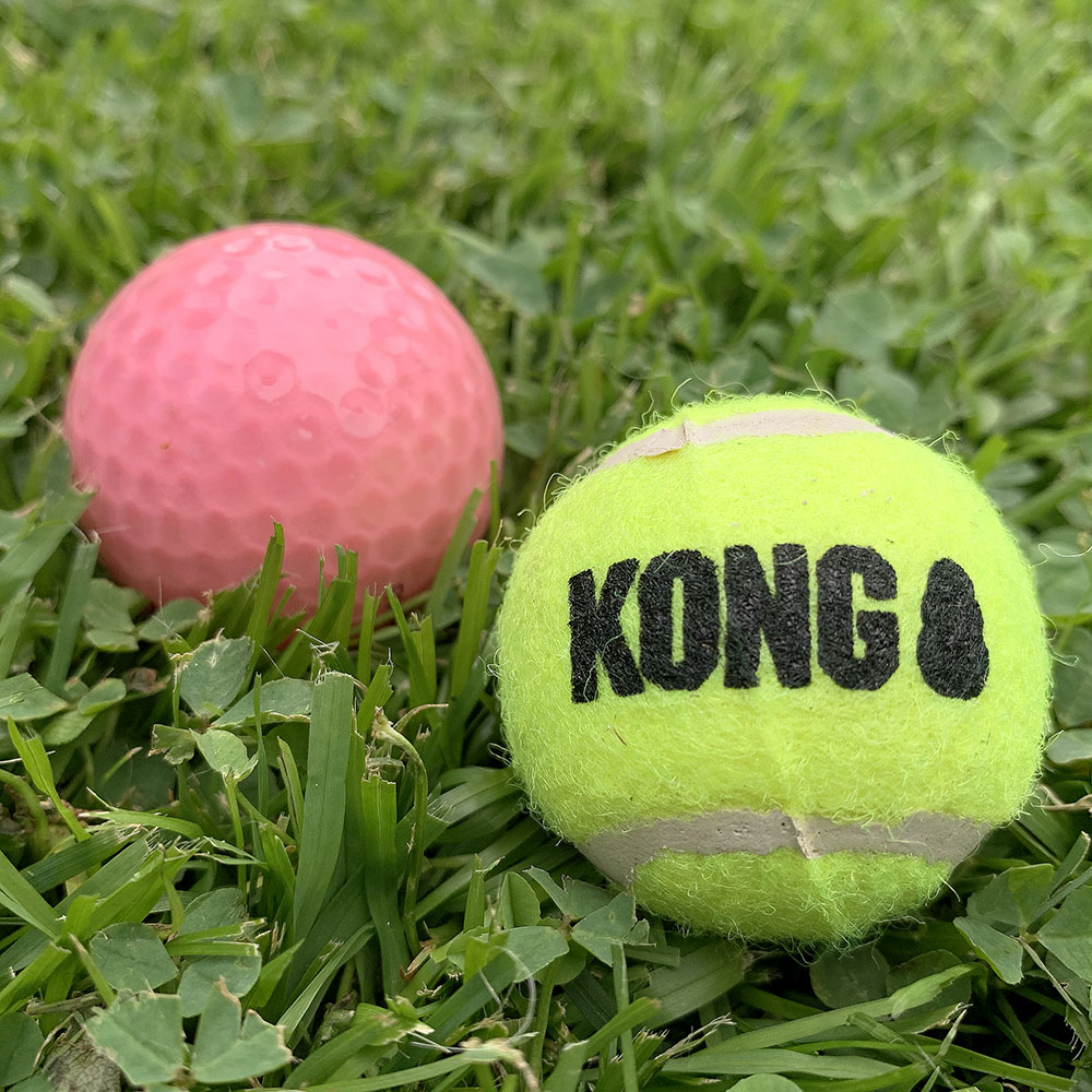 Liten tennisboll som hundleksak från Kong med pip