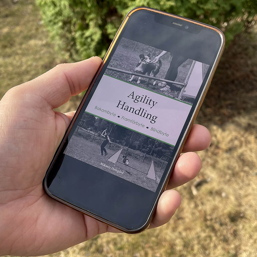 E-book: Agility action part 1