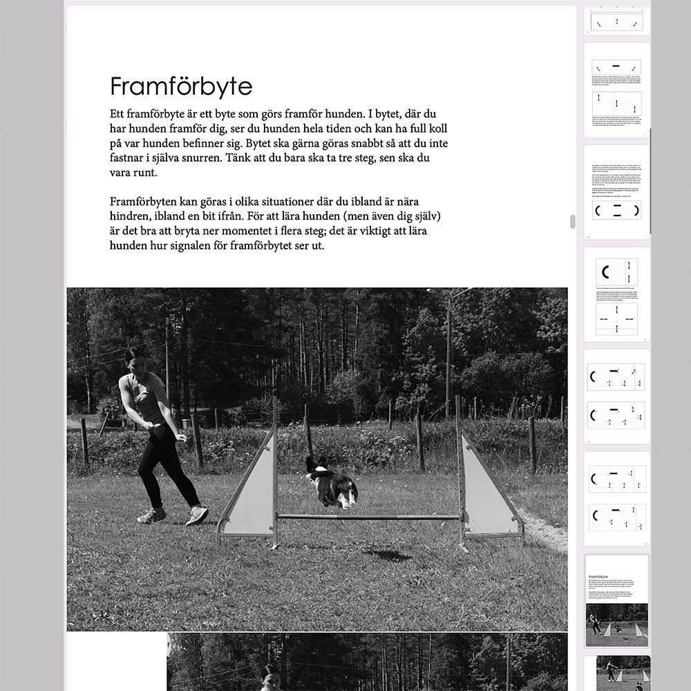 E-book: Agility action part 1 - 2