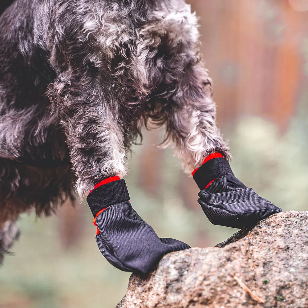 Non-Stop solid socks hundsockor XS till XL
