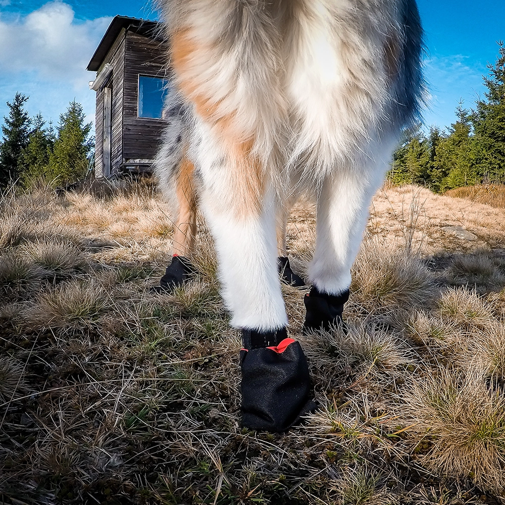 Non-Stop solid sock mjuka hundsockor 