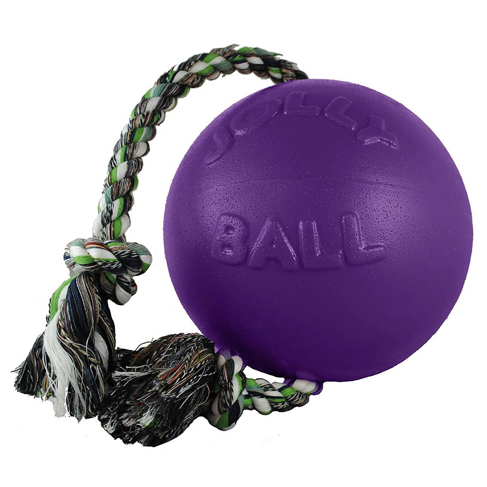 Jolly ball dog toy
