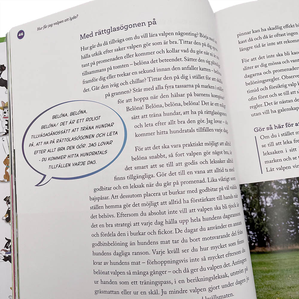 Valpträning är hundboken som passar alla hundägare