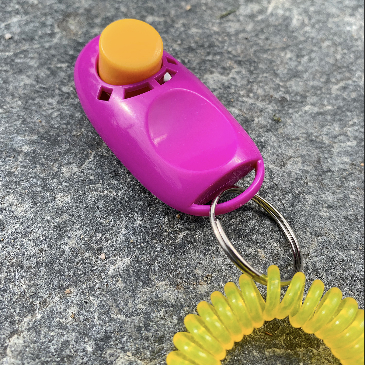 Lila rosa klicker till hund träna 