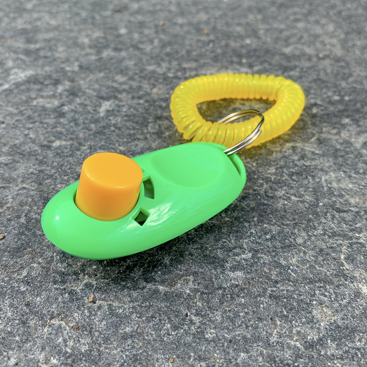 Operant hundträning med en klicker