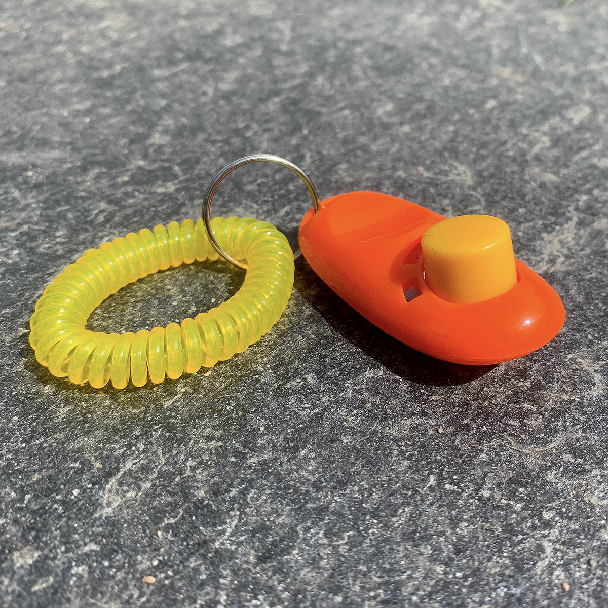 Klicker med handledsband