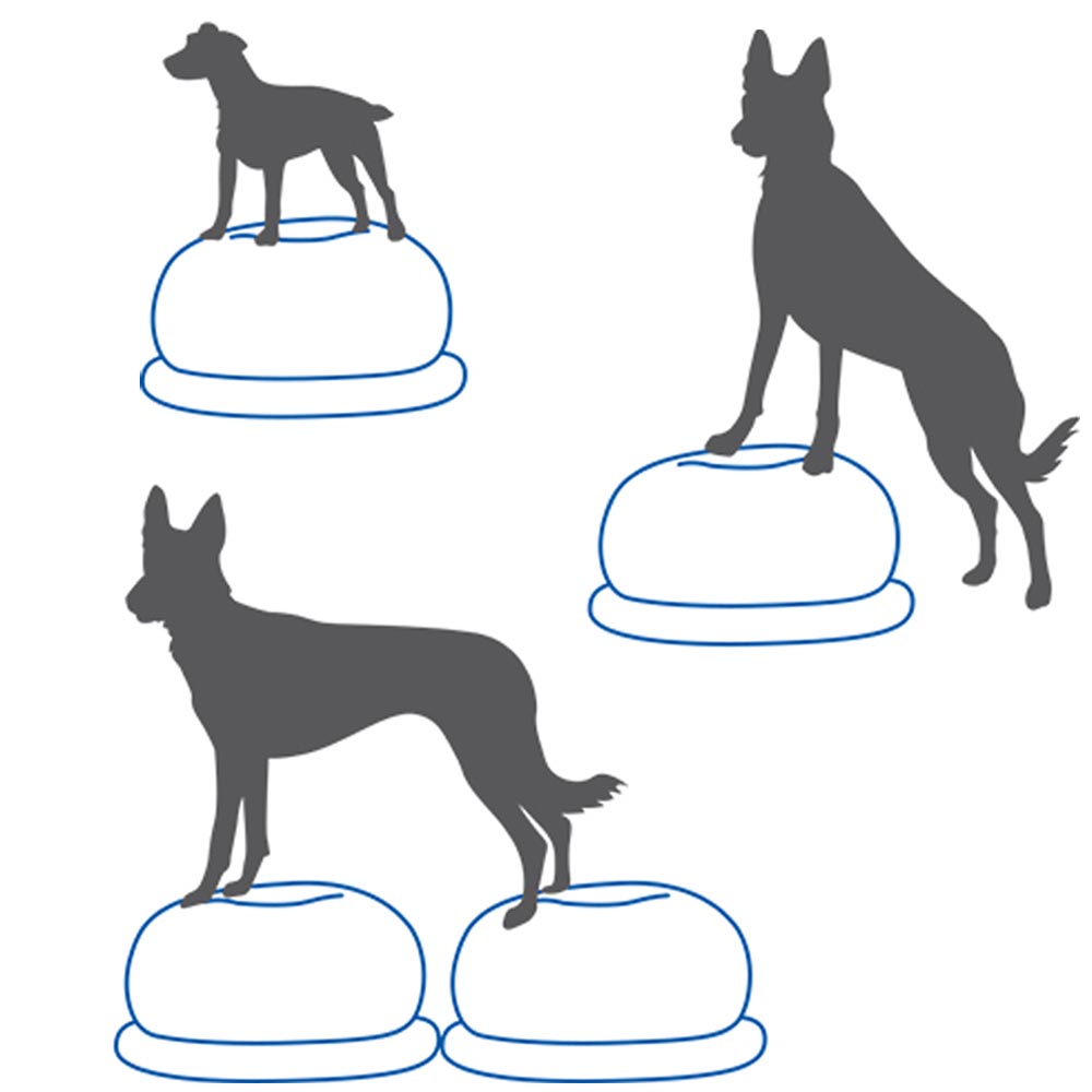 FitPAWS Donut holder - 7