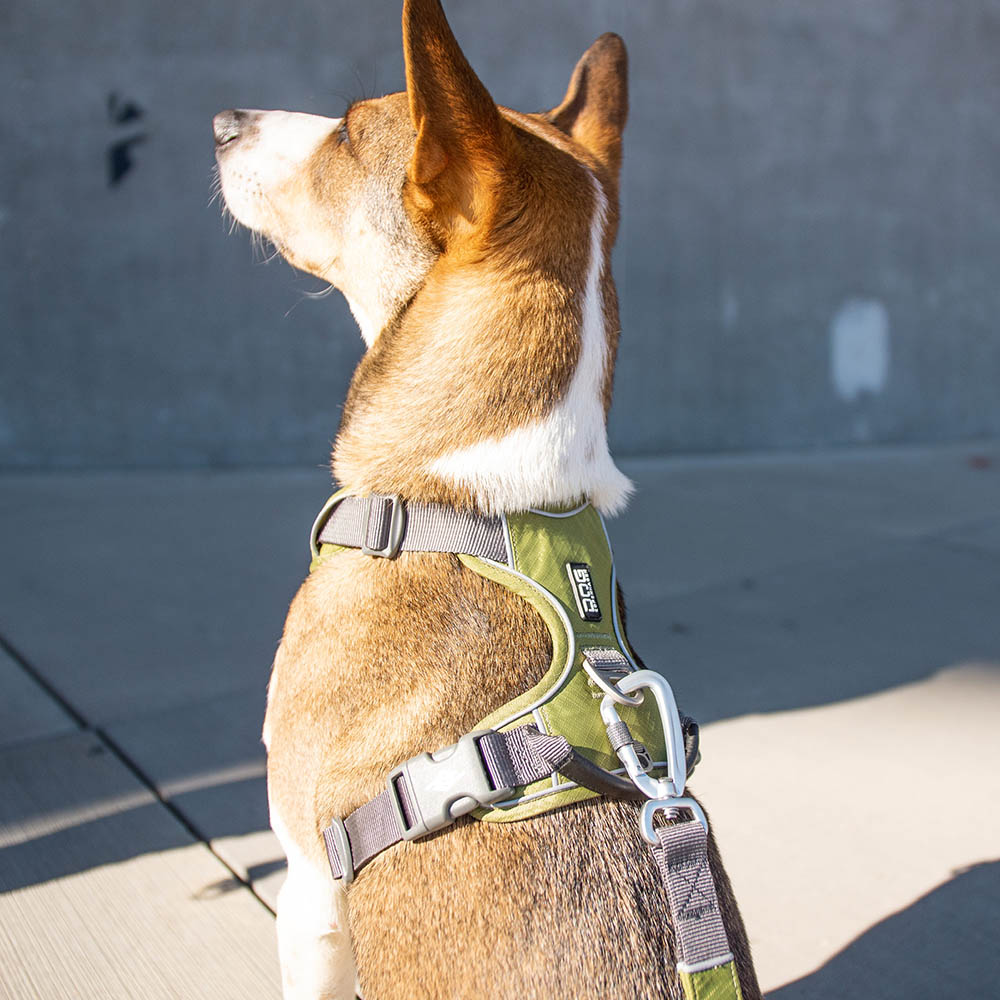 DOG Copenhagen Urban Trail leash - 6