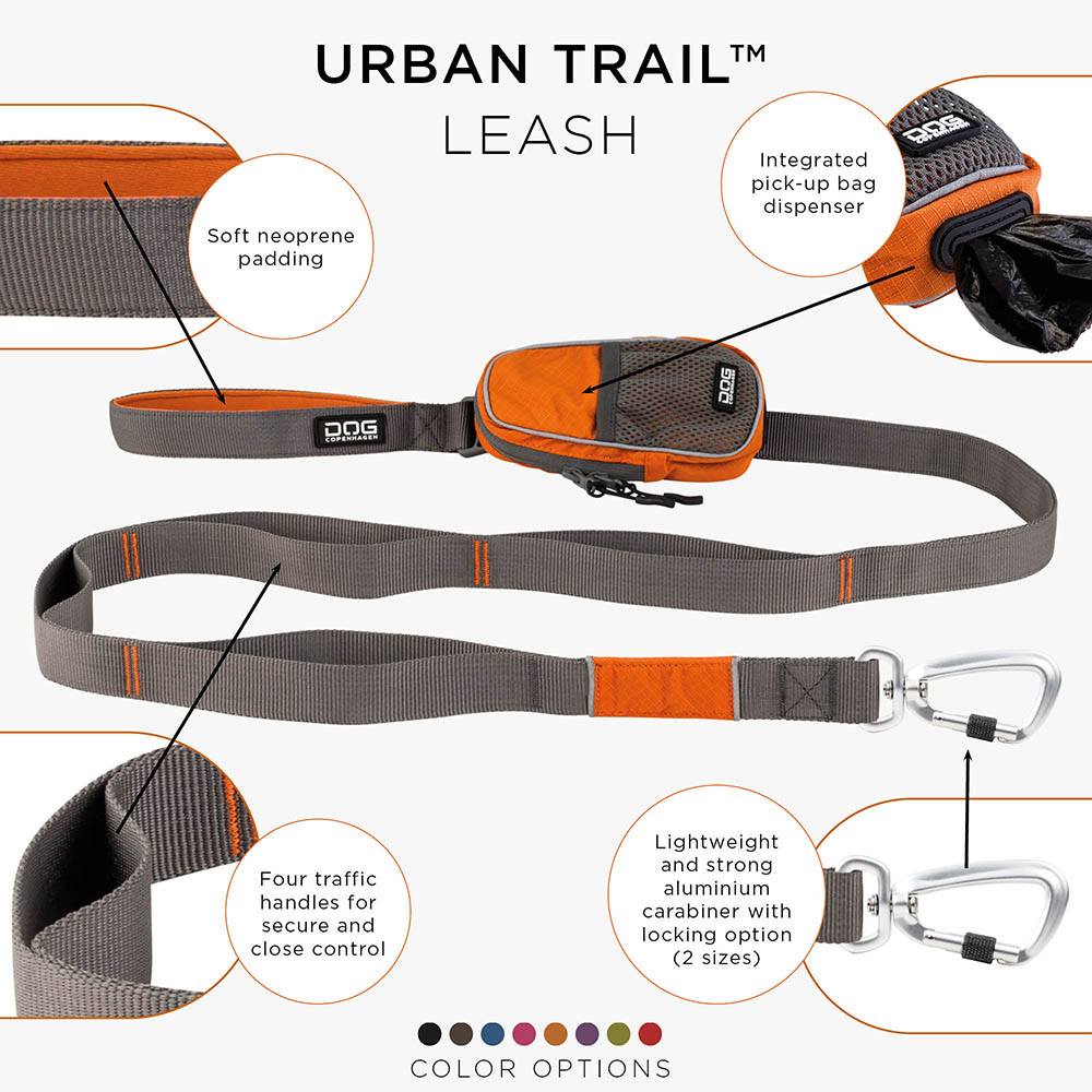 Dog leash with extra handle