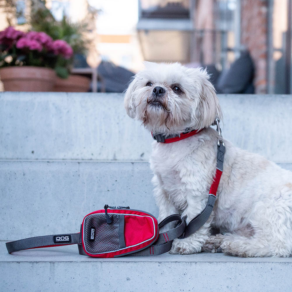 DOG Copenhagen leash for small dogs