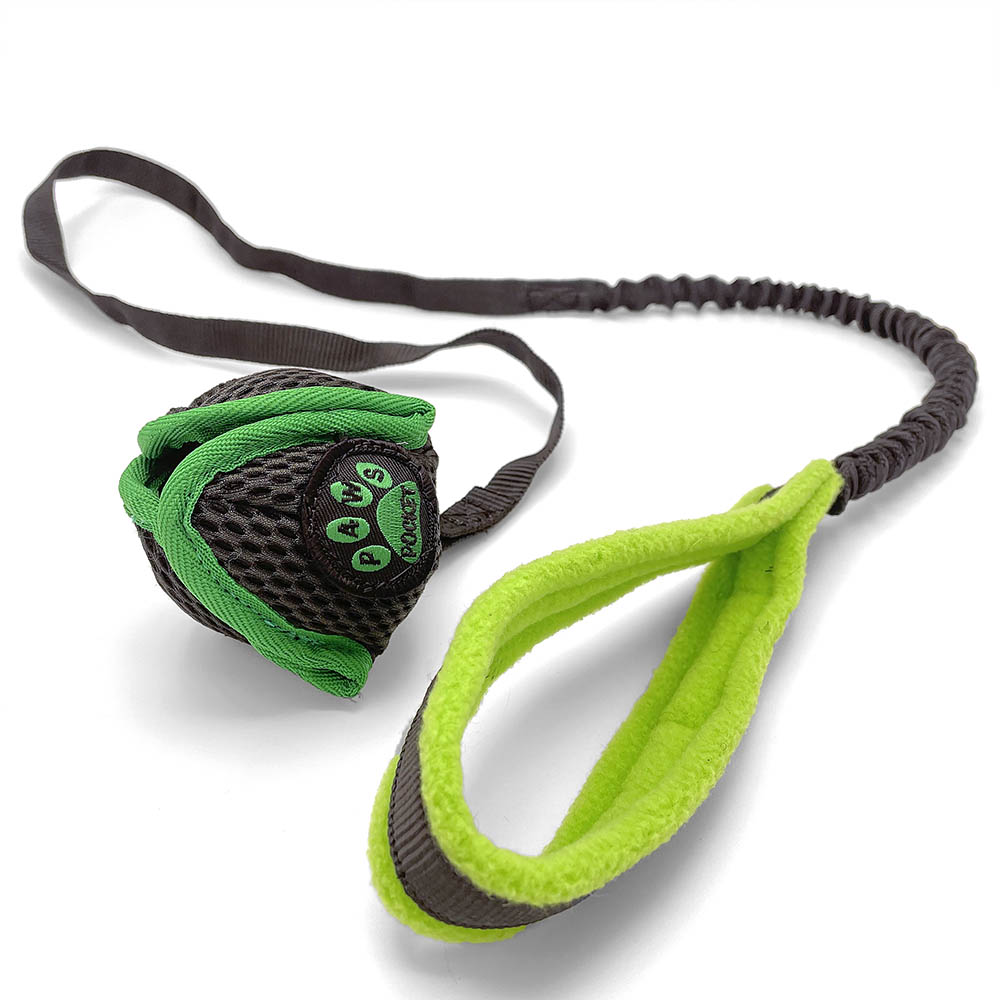 PawsPocket Lotus ball Dog toy with a long handle