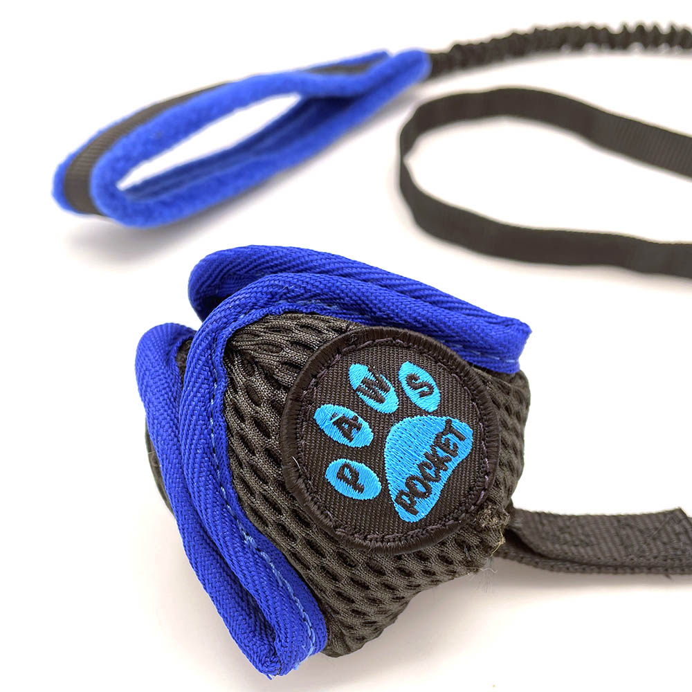 PawsPocket Lotus ball Dog toy with a long handle