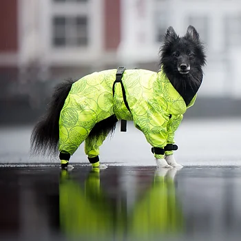 Regntäcke overall till hund PAIKKA