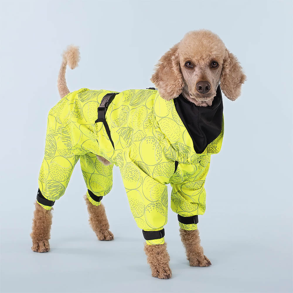 PAIKKA rain suit for dogs