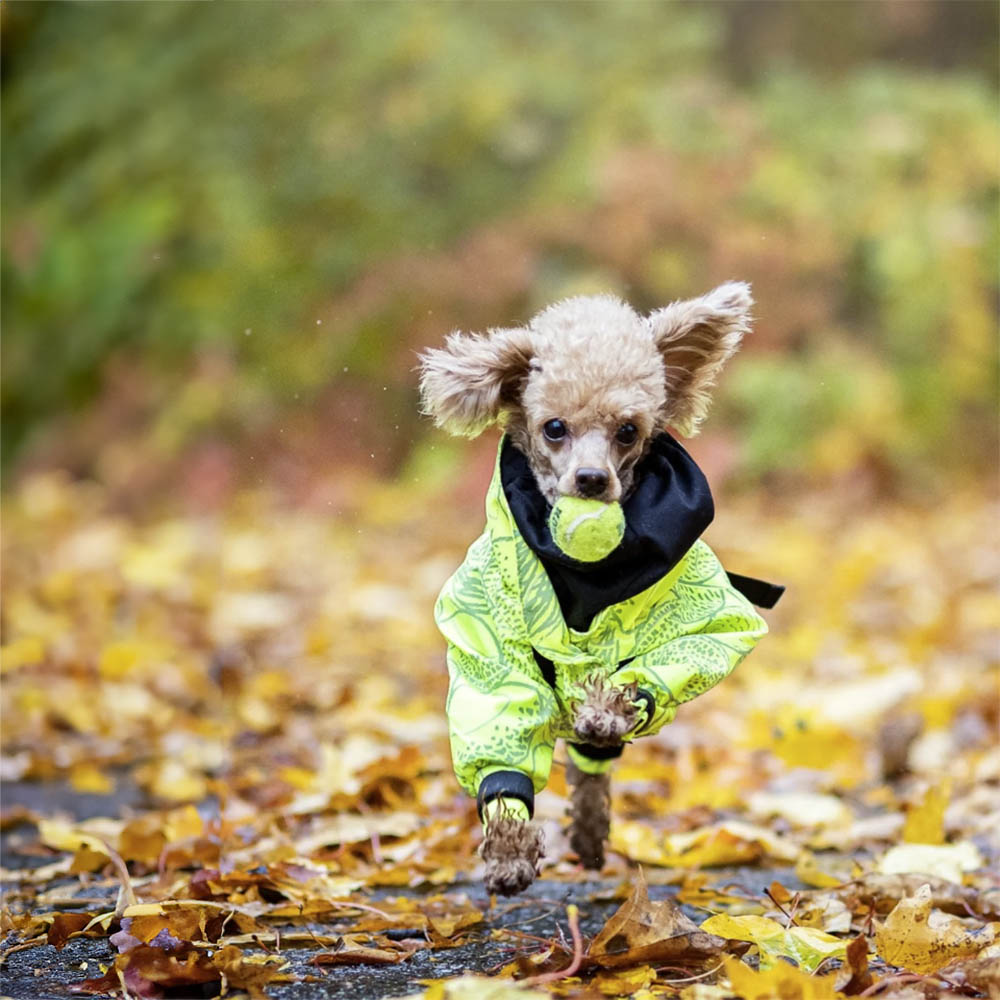 PAIKKA rain suit - 6