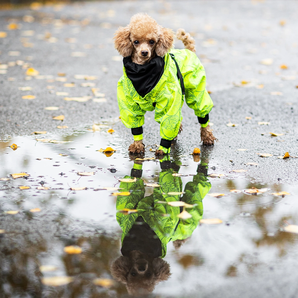 PAIKKA rain suit - 4