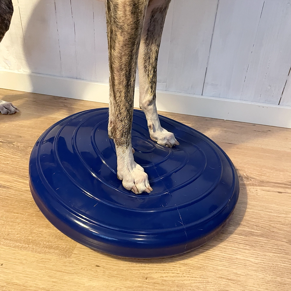 Hansesgården balansdisk till hund - 3