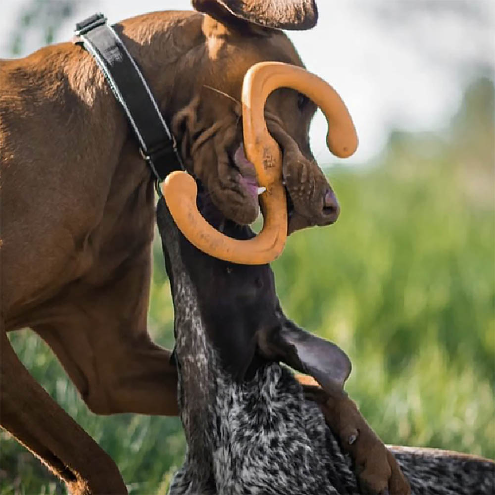 Hållbar hundleksak för roliga kamplekar West paws Zogoflex bumi