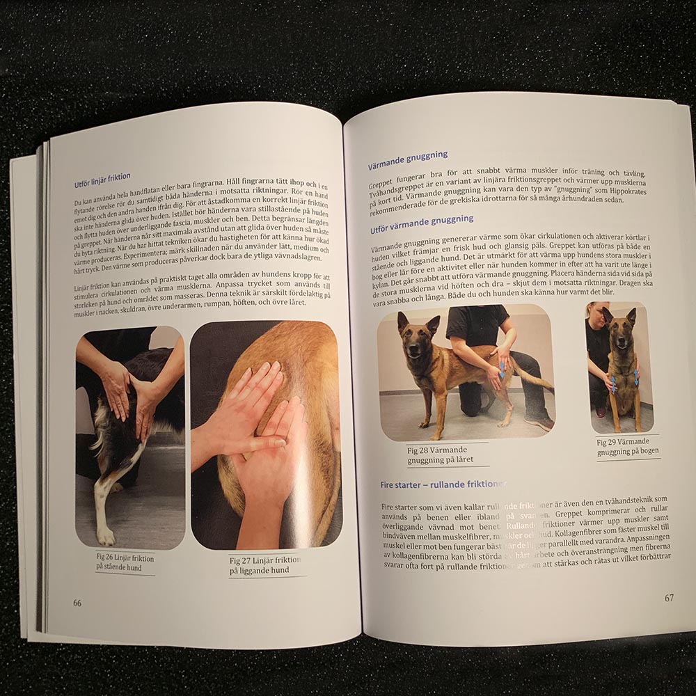 Bok om massage och stretching av hund