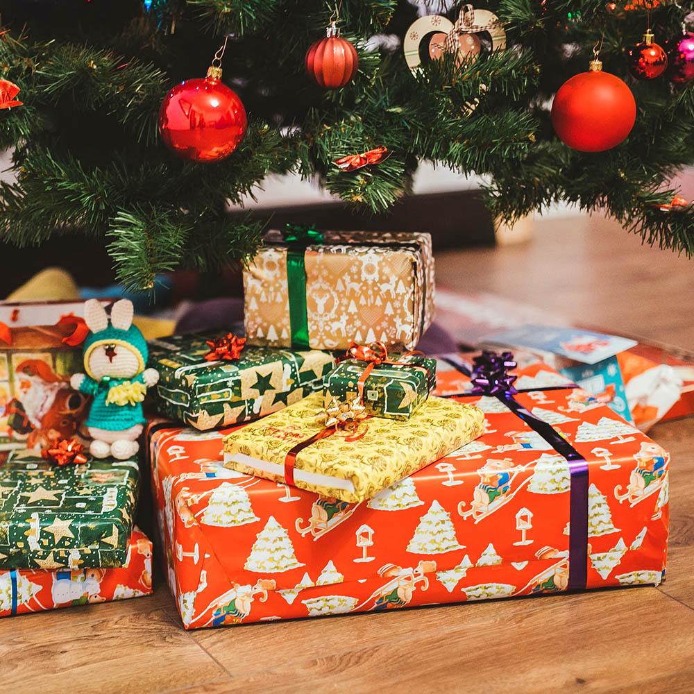 Julklapp till din hund Låt oss fixa klappen! Hansesgården