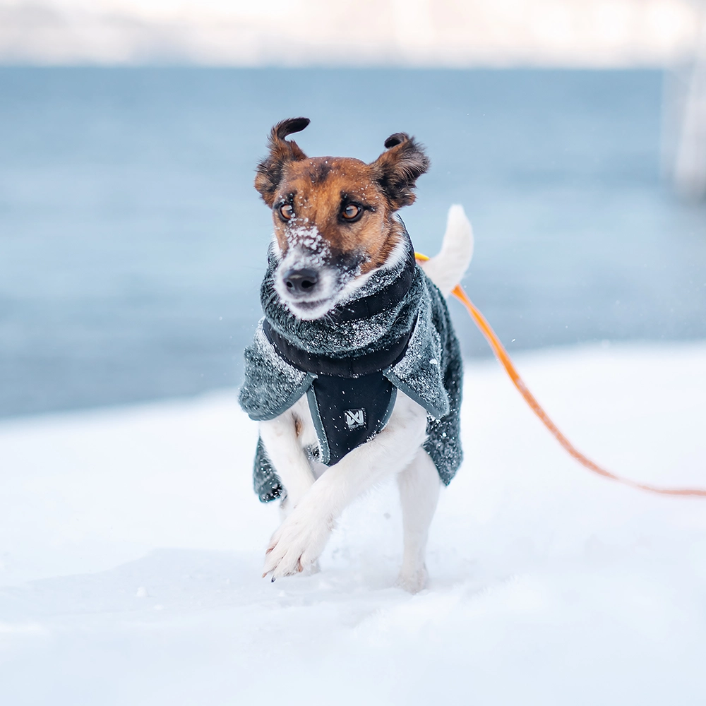 Non-stop Wool ulltäcke till hund - 8
