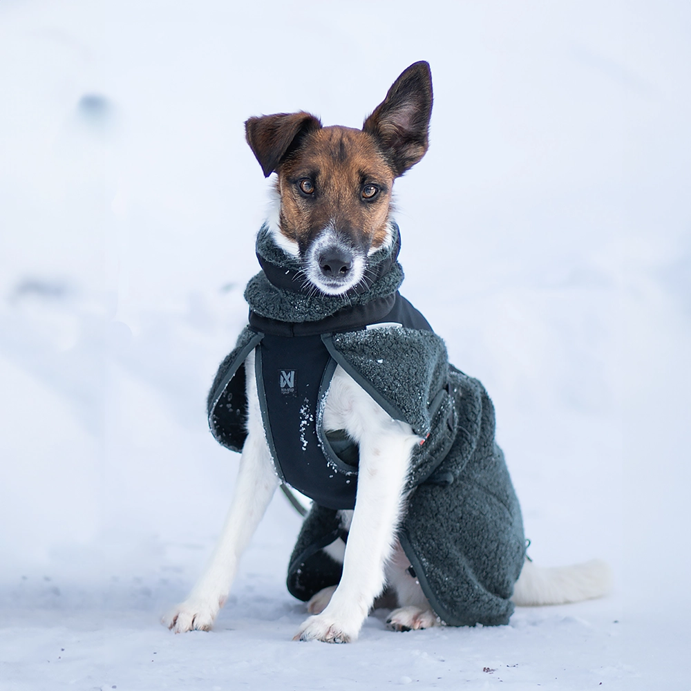 Non stop Wool dog jacket