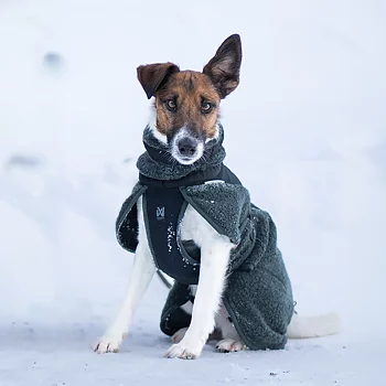Non-stop Wool - ulltäcke till hund dog jacket