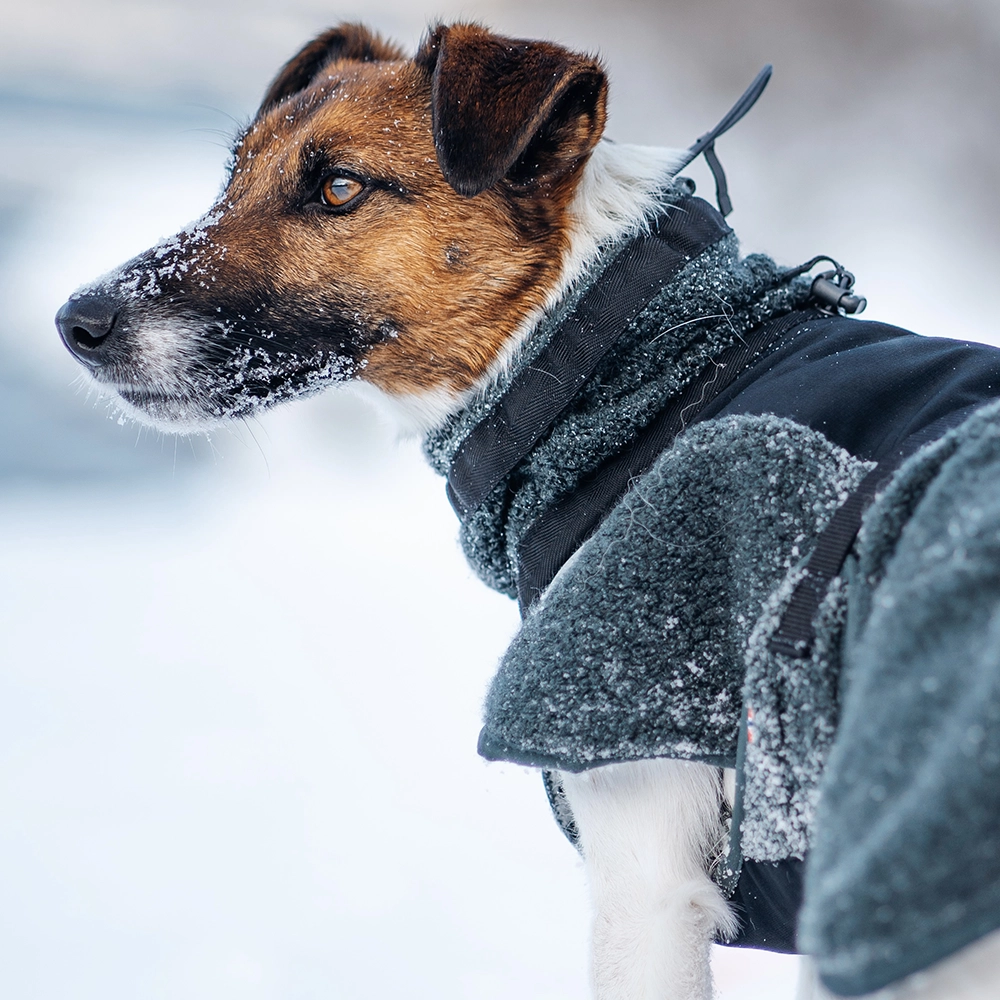 Non-stop Wool ulltäcke till hund - 9