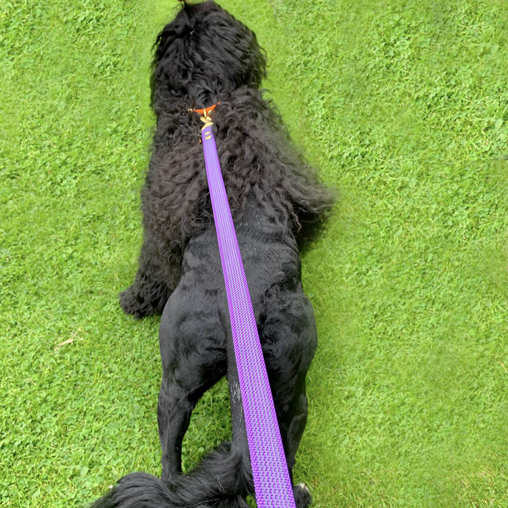 Choose the leash length yourself Hansesgården Leash 12 or 18 or 20 meters