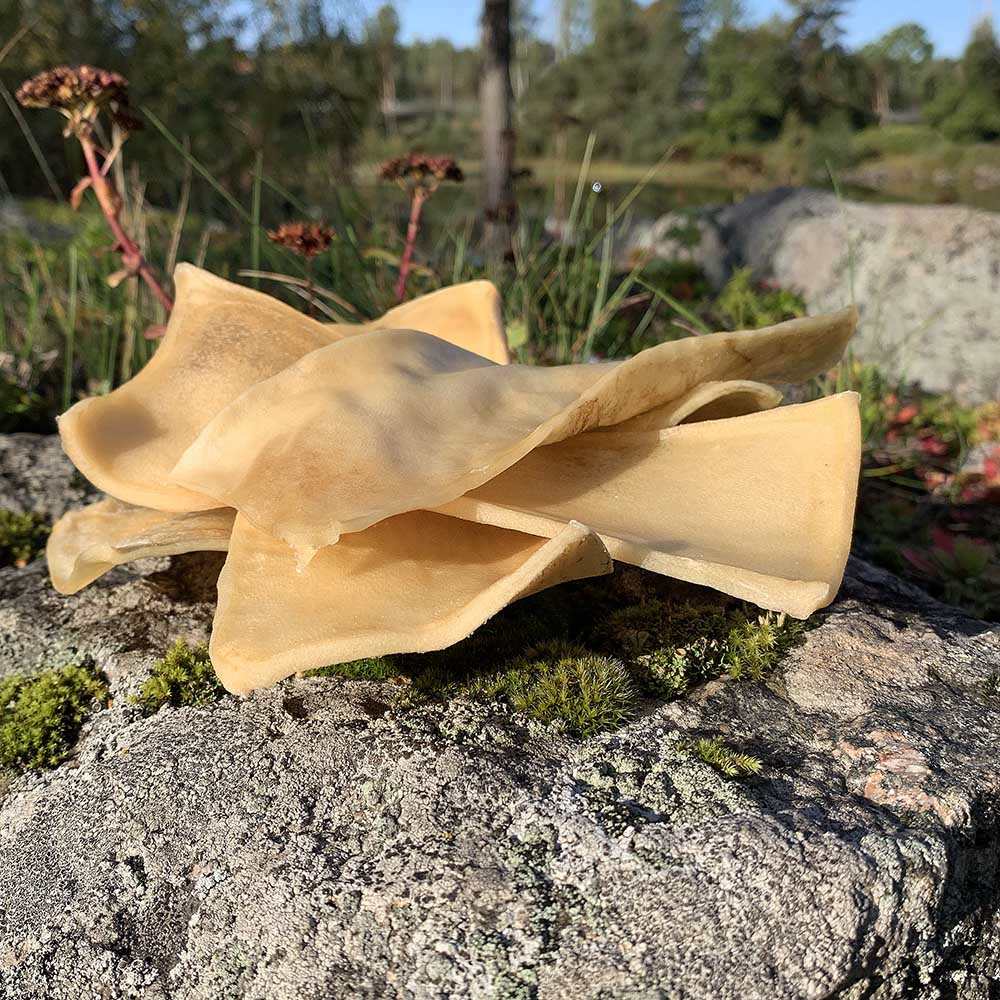 Hundchips tuggben av älg