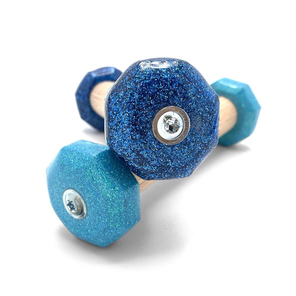 Dumbbell rally obedience - Larz Glitterz - 8