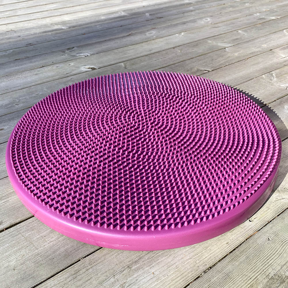 FitPAWS Disc giant - 56 cm - 5