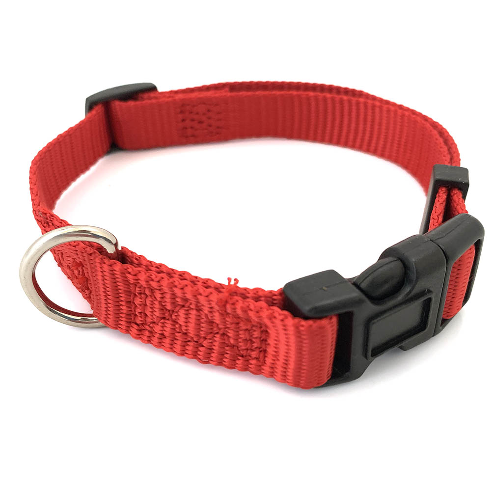Halsband till valpen - 8