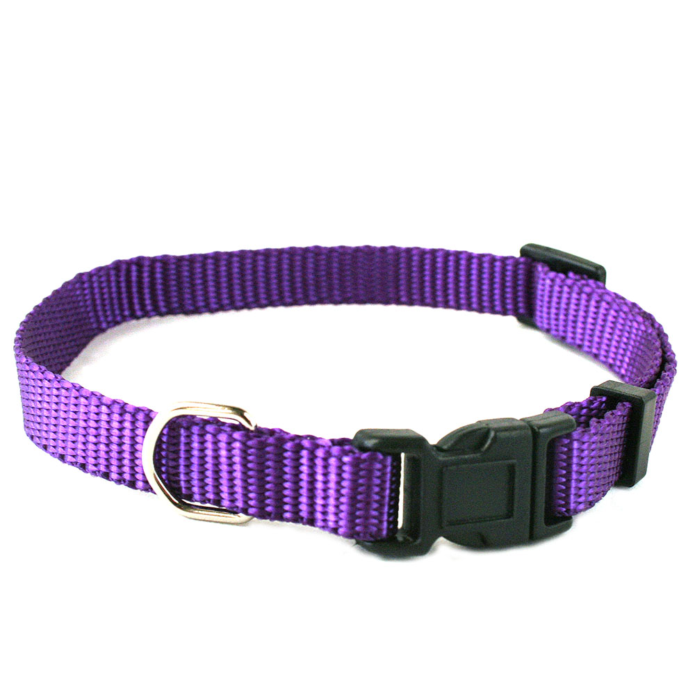 Halsband till valpen - 7
