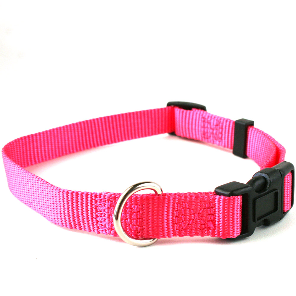 Rosa halsband till hundvalpen