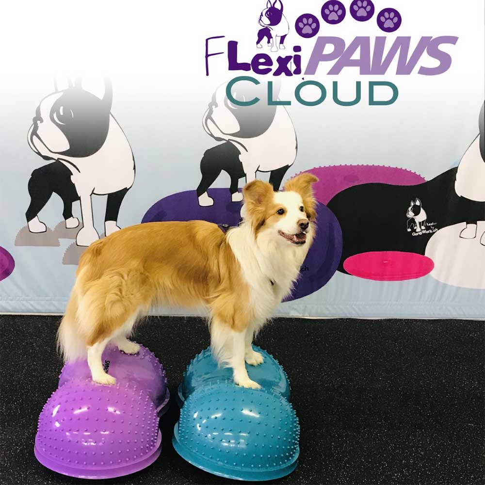 Fitpaws flexiness cloud balance ball for dog