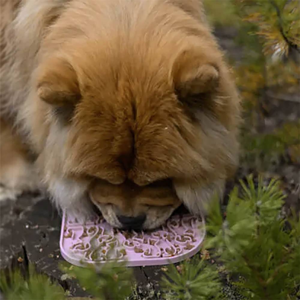 Fiboo slickmatta lickmat för hund