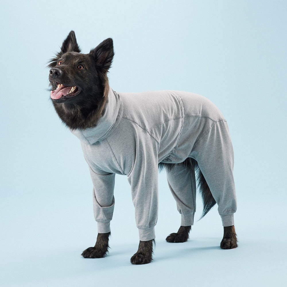 Hundtäcke med ben finns i storlek att passa labrador, boxer och pincher