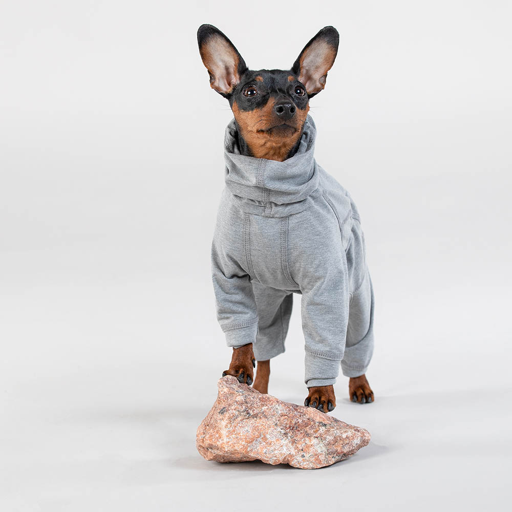 Hundtäcke med ben PAIKKA recovery overall dvärgpinscher chihuahua