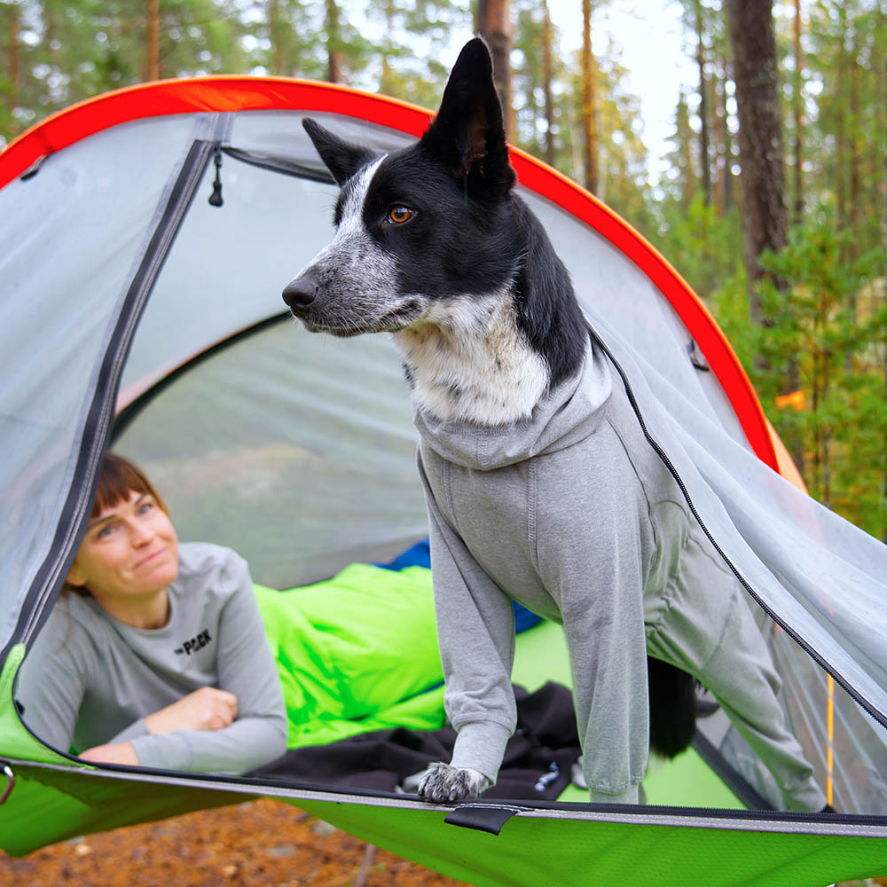 paikka recovery overall till stor och liten hund 25 till 60 cm